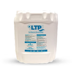 Img ltp 3