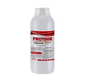 img protege1