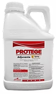 img protege2