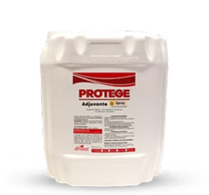 img protege3